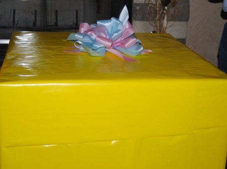 Reveal Party and Colorado 2011 078